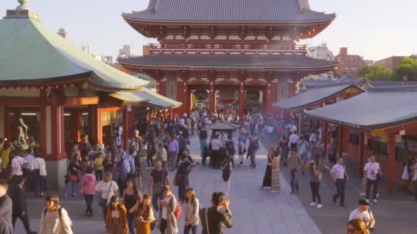 Gekraaide Mensen Bij Sensoji Tempel Tokio Japan — Stockvideo
