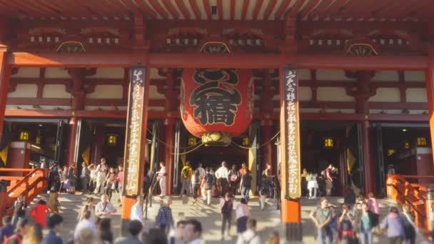 Krähen Sensoji Tempel Tokio Japan — Stockvideo