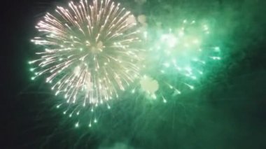 Kara gökyüzü arka planında güzel renkli bayram havai fişekleri