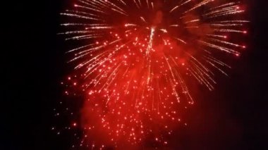 Kara gökyüzü arka planında güzel renkli bayram havai fişekleri