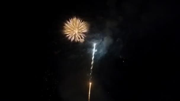 黒い空の背景に美しいカラフルな休日の花火 — ストック動画