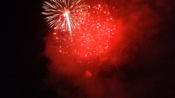 Όμορφα Πολύχρωμα Πυροτεχνήματα Διακοπών Στο Μαύρο Φόντο Του Ουρανού — Αρχείο Βίντεο