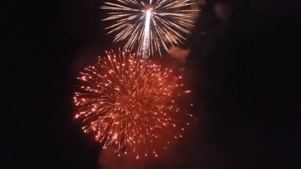 Hermosos Fuegos Artificiales Coloridos Vacaciones Fondo Del Cielo Negro — Vídeo de stock