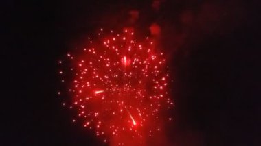 Kara gökyüzü arka planında güzel renkli bayram havai fişekleri