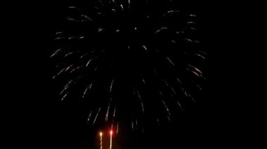 Kara gökyüzü arka planında güzel renkli bayram havai fişekleri