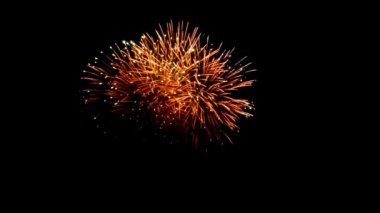 Kara gökyüzü arka planında güzel renkli bayram havai fişekleri