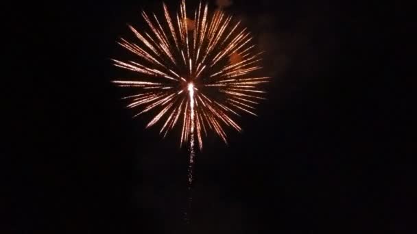 Hermosos Fuegos Artificiales Coloridos Vacaciones Fondo Del Cielo Negro — Vídeo de stock