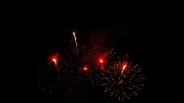 Schöne Bunte Urlaub Feuerwerk Auf Dem Schwarzen Himmel Hintergrund — Stockvideo