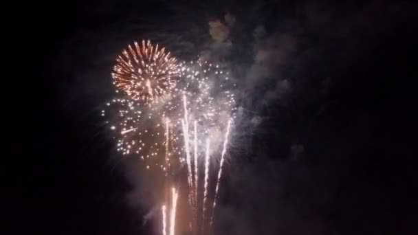 Όμορφα Πολύχρωμα Πυροτεχνήματα Διακοπών Στο Μαύρο Φόντο Του Ουρανού — Αρχείο Βίντεο