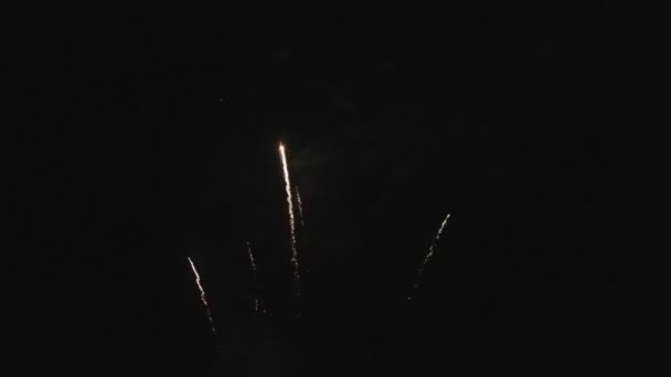 Schöne Bunte Urlaub Feuerwerk Auf Dem Schwarzen Himmel Hintergrund — Stockvideo