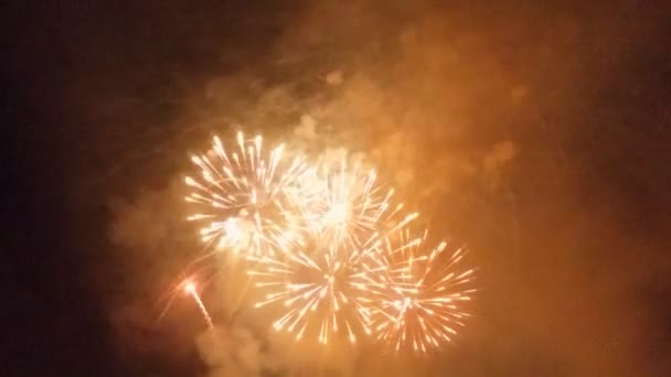 Schöne Bunte Urlaub Feuerwerk Auf Dem Schwarzen Himmel Hintergrund — Stockvideo