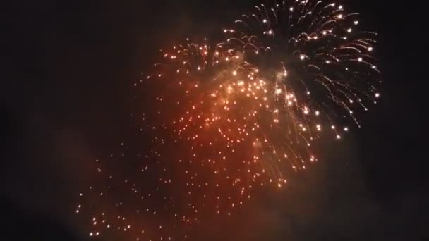 Hermosos Fuegos Artificiales Coloridos Vacaciones Fondo Del Cielo Negro — Vídeo de stock