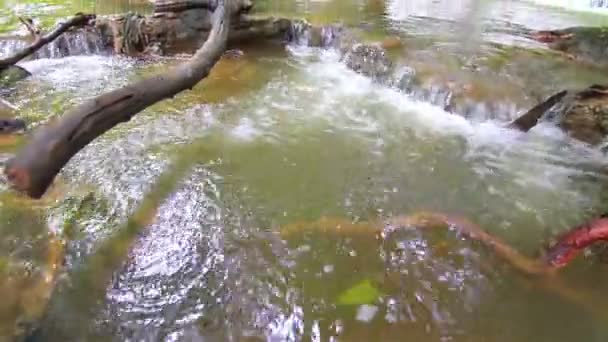 Vattenfall Djupa Skogen Erawan Vattenfall Nationalparken Kanchanaburi Thailand — Stockvideo