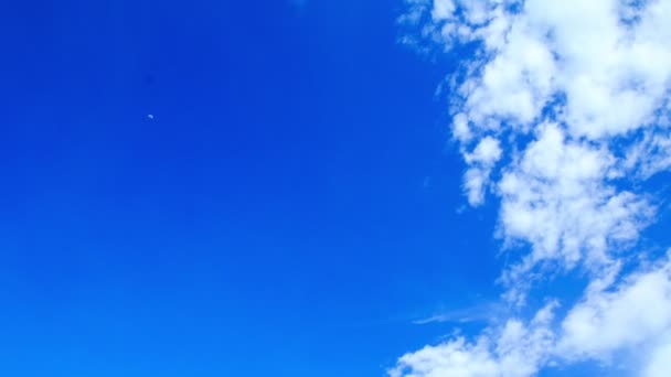 Nuvens Fofas Céu Azul Formato Vídeo Alta Definição 1920X1080 — Vídeo de Stock