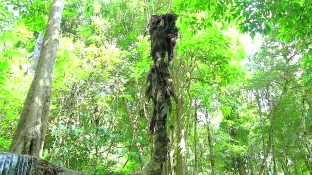 Vattenfall Djupa Skogen Erawan Vattenfall Nationalparken Kanchanaburi Thailand — Stockvideo