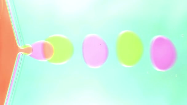 Färgglada Bubbla Partiklar Loop — Stockvideo