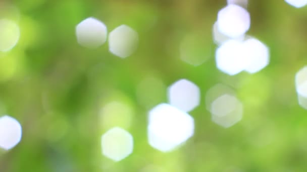 Fond abstrait naturel, Effet de mise au point 
