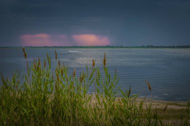 Reed ve Lake. Fırtına