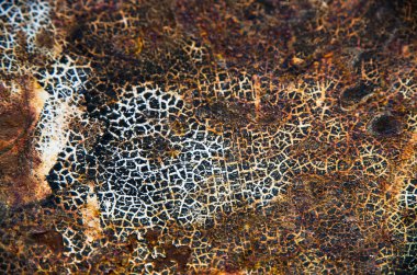 Pas ve metal üzerinde kırık boya artıkları