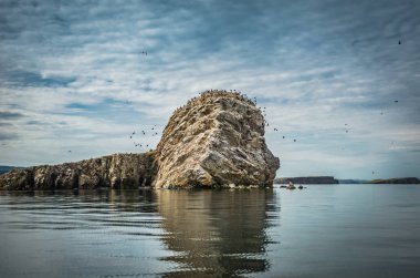 Karabatak, Baykal Gölü üzerinde bir uçurumun üzerinden kalktıktan kuşların