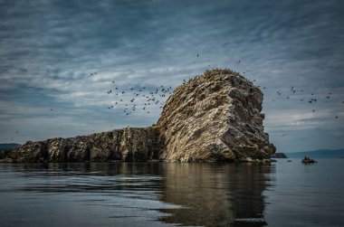 Karabatak, Baykal Gölü üzerinde bir uçurumun üzerinden kalktıktan kuşların