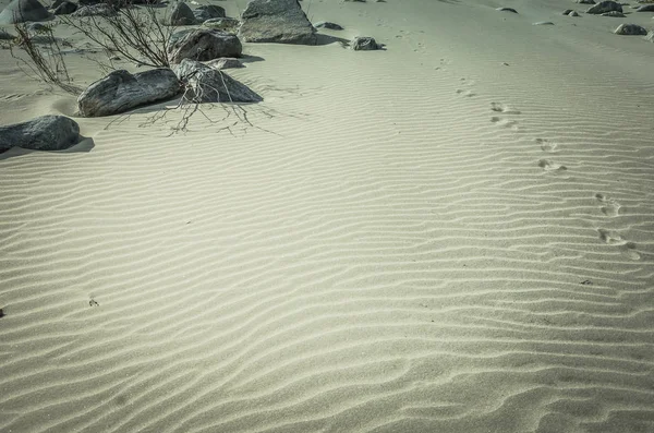 Kum üzerinde çıplak ayak izleri