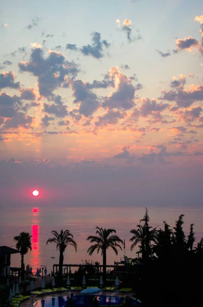 Gündoğumu ve Güney tatil deniz ortasında palmiye ağaçlarının Silhouettes