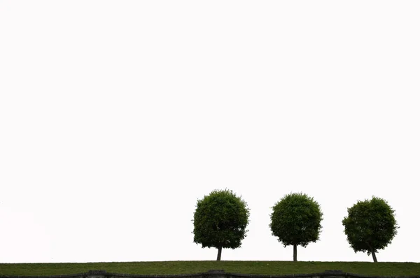 Kum dalgaları üzerinde kuru yaprak