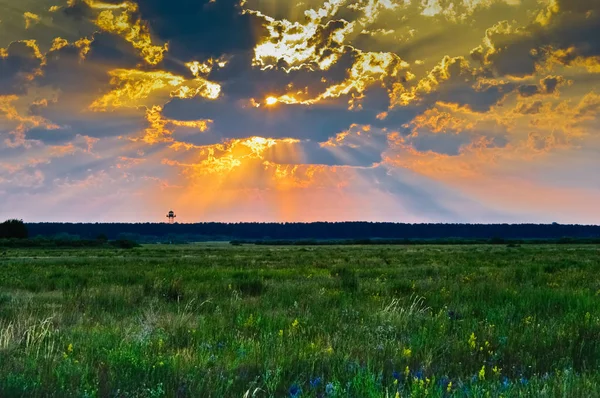 Gündoğumu, bulutların arasından güneş ışınları