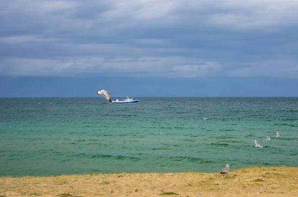 Su, yüzer gemi ve uzak Dağları arka plan üzerinde martı