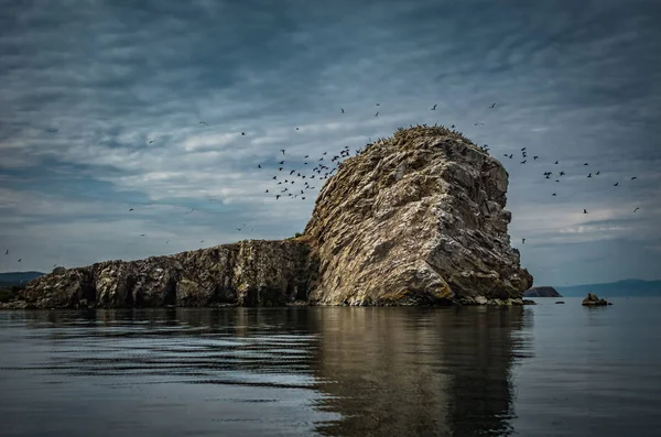 Karabatak, Baykal Gölü üzerinde bir uçurumun üzerinden kalktıktan kuşların