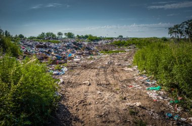 Yasadışı yasak çöplüğü