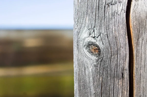 Arka plan eski deniz mili ve çatlaklar ile plakalar