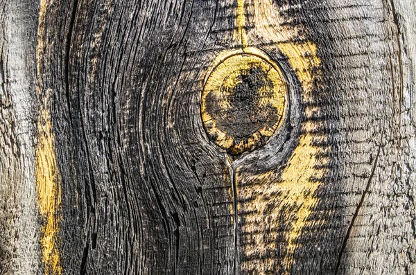 Arka plan eski deniz mili ve çatlaklar ile plakalar