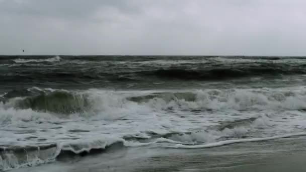 Habos hullámok a tomboló tenger — Stock videók