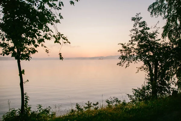 yumuşak yumuşak hafif pembe şafak büyük göl, gündoğumu, göl kenarında büyük ağaçlar