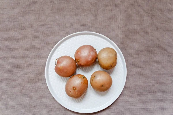 Pommes Terre Bouillies Uniforme Sur Une Assiette Blanche Trop Vue — Photo