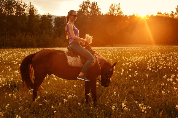 年轻长发女孩戴眼镜坐在棕色马在森林清洁在夏季日落 — 图库照片