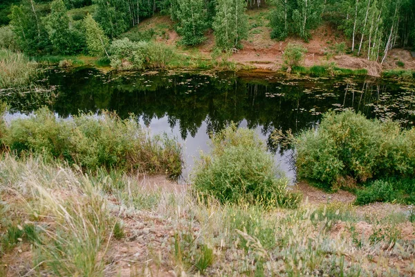 Reflection Trees Small Overgrown River Summer — Stock Photo, Image