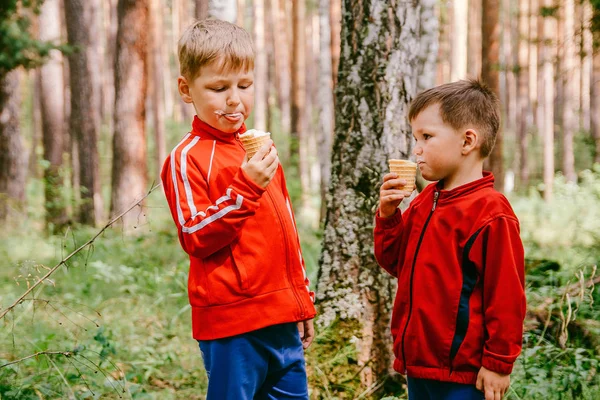 Два Мальчика Едят Мороженое Вафельных Чашках Открытом Воздухе Летом — стоковое фото