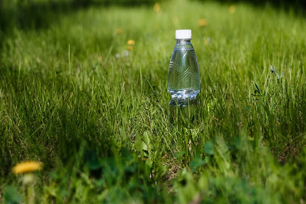 Bottle Drinking Water Stands Green Grass Outdoors Summer Blurred Background — Stock Photo, Image