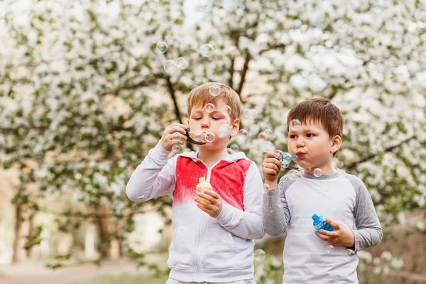 Two Little Boys Inflate Soap Bubbles Summer Outdoors — Stock Photo, Image