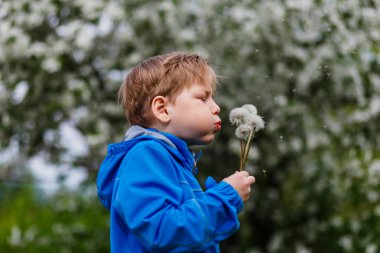 mutlu çocuk karahindiba tohumları yaz aylarında esen