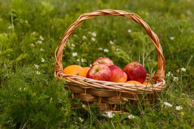 büyük hasır sepet meyve çimen, elma ve portakal ile
