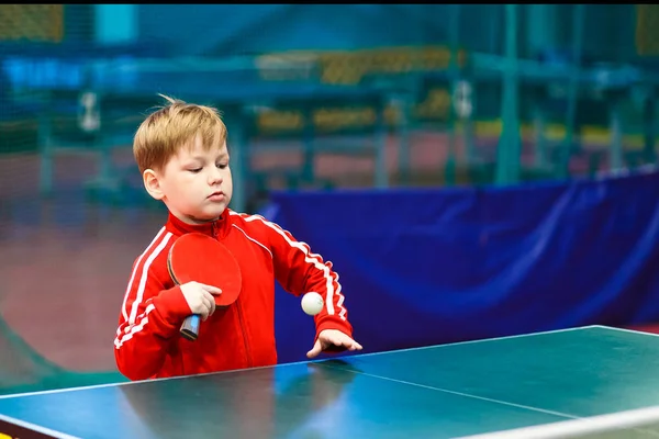 Дитина Готує Корм Настільному Тенісі — стокове фото