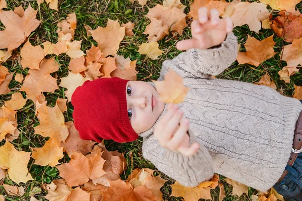 Ребенок Трикотажном Свитере Лежащем Траве Кленовых Листьях Осень — стоковое фото