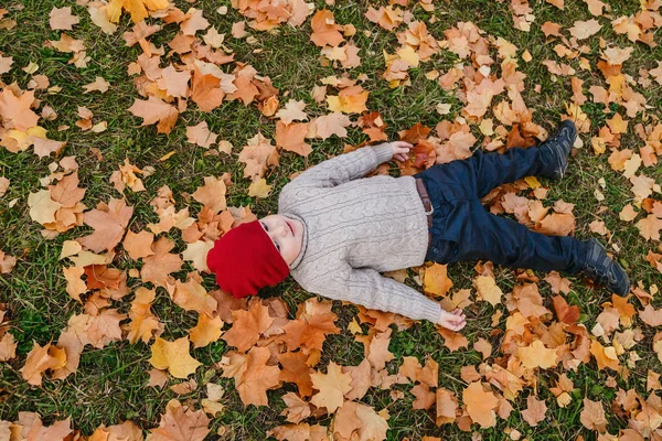 Ребенок Лежит Траве Кленовые Листья Осень — стоковое фото