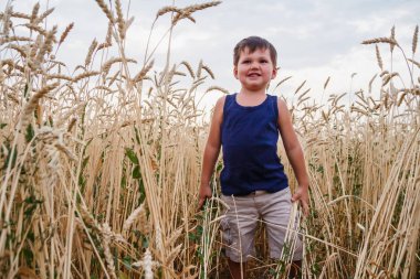 mutlu küçük çocuk bir buğday alanında çalışır