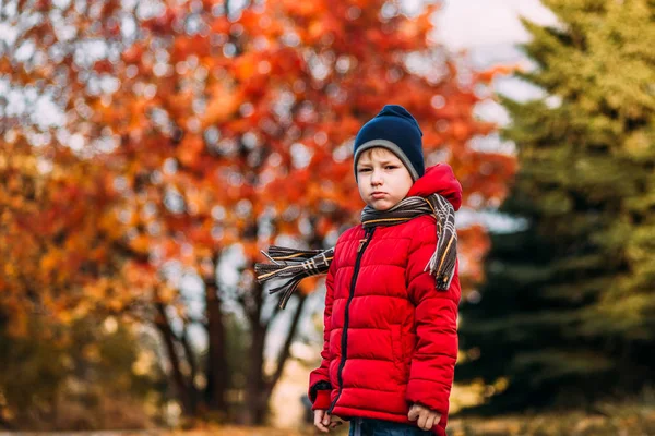 Niño Serio Con Una Chaqueta Roja Colorido Telón Fondo Otoño —  Fotos de Stock