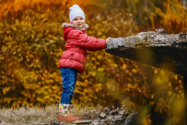 beş yaşındaki gülümseyen kız bir sonbahar Park, Altın Sonbahar standları